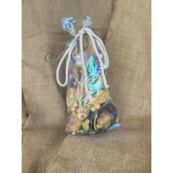 Gift Bag Of Beautiful Seashells Sourced From Coastal SE Georgia And NE Florida - Picture 2 of 16